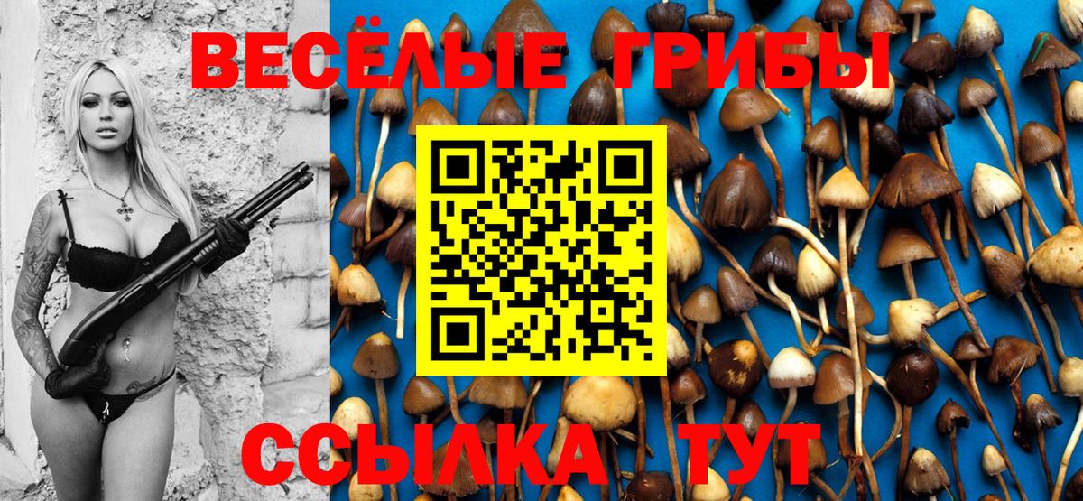 Галлюциногенные грибы GOLDEN TEACHER Зима
