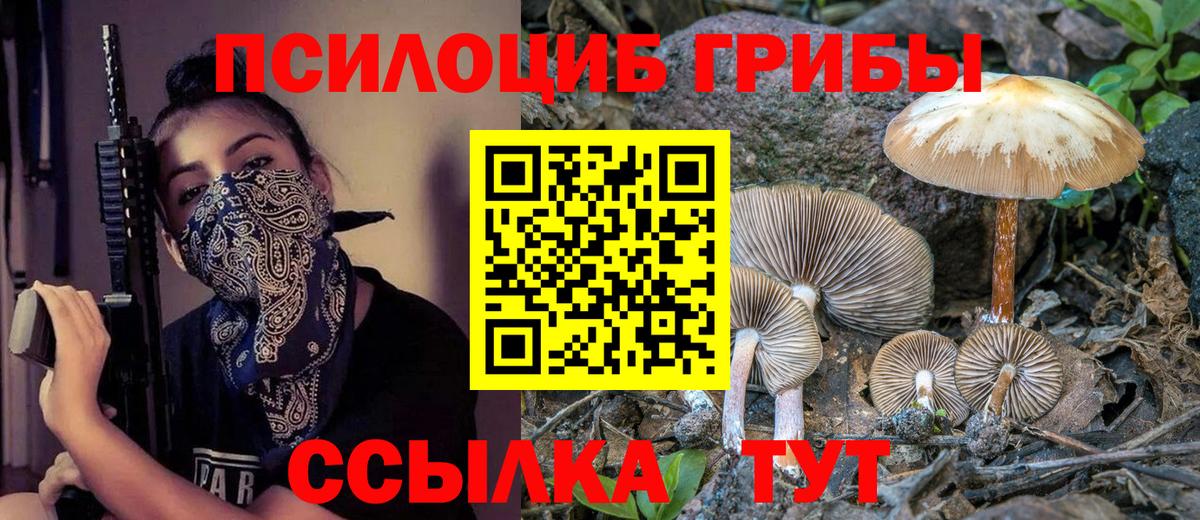 Зима  Галлюциногенные грибы Psilocybe  Вход с VPN 