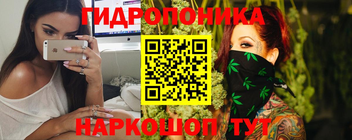 Конопля AK-47 Зима